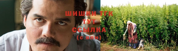 шишки Алзамай