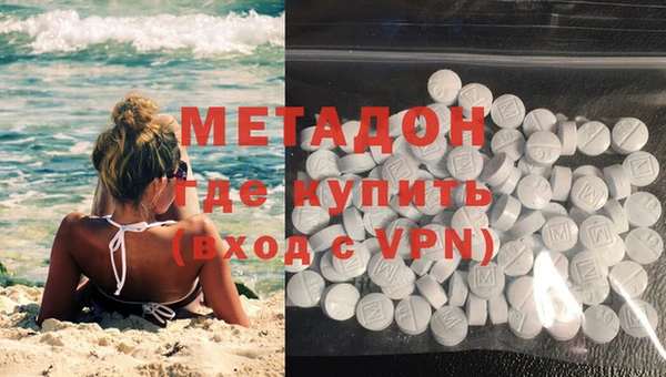 шишки Алзамай