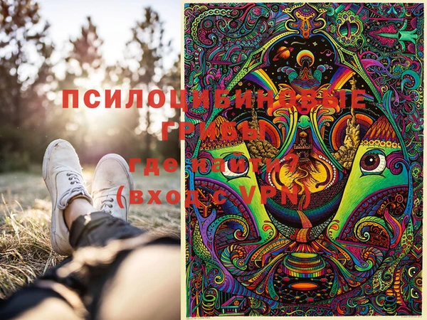 шишки Алзамай