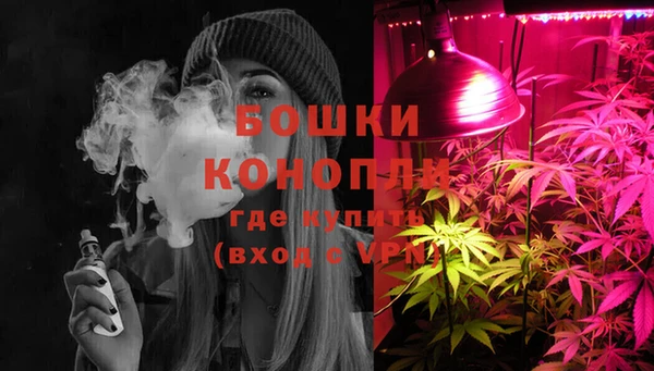 МДПВ Алексеевка