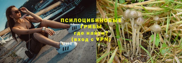 МДПВ Алексеевка