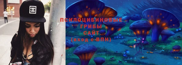 МДПВ Алексеевка